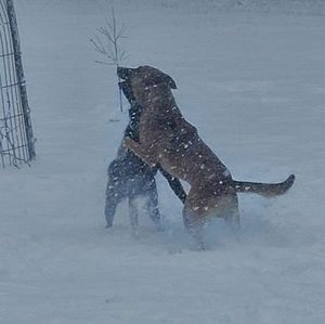 Meet your Posher, Sharon